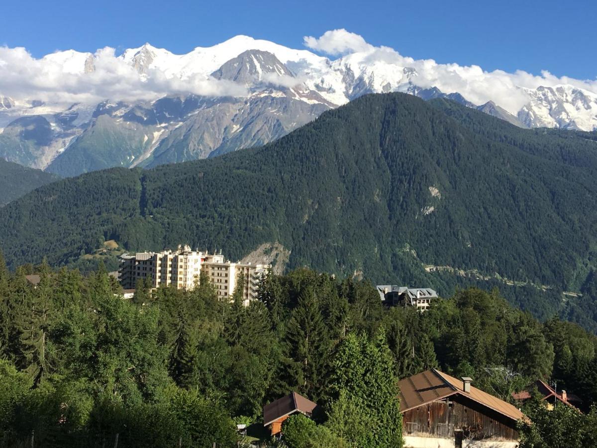 Fizhome Mt Blanc Паси Екстериор снимка